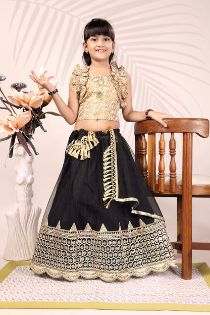Baby Girls Lehenga Choli Ethnic Wear, Embellished Lehenga Choli