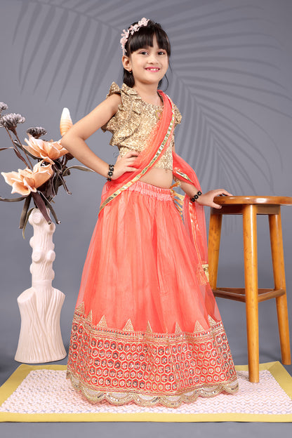 Baby Girls Lehenga Choli Ethnic Wear, Embellished Lehenga Choli