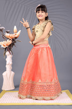 Baby Girls Lehenga Choli Ethnic Wear, Embellished Lehenga Choli