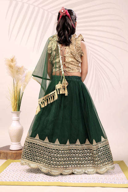 Baby Girls Lehenga Choli Ethnic Wear, Embellished Lehenga Choli