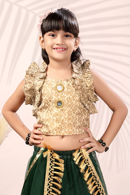Baby Girls Lehenga Choli Ethnic Wear, Embellished Lehenga Choli