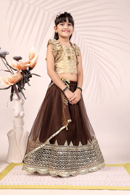 Baby Girls Lehenga Choli Ethnic Wear, Embellished Lehenga Choli
