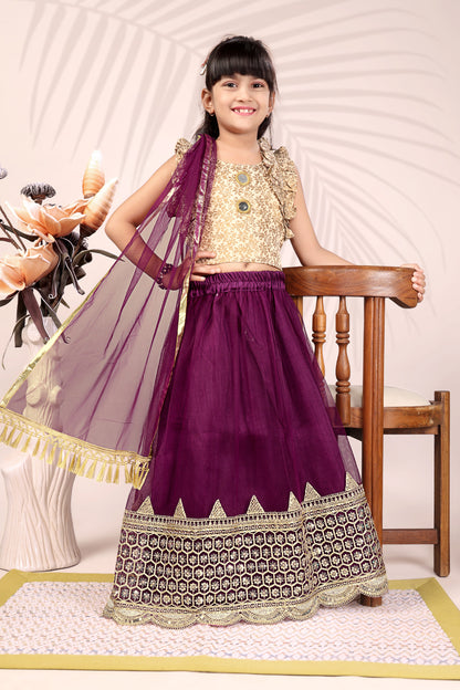 Baby Girls Lehenga Choli Ethnic Wear, Embellished Lehenga Choli
