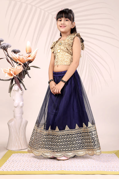 Baby Girls Lehenga Choli Ethnic Wear, Embellished Lehenga Choli