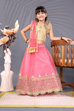 Baby Girls Lehenga Choli Ethnic Wear, Embellished Lehenga Choli