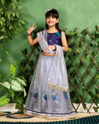 Baby Girls Lehenga Choli Ethnic Wear, Embellished Lehenga Choli