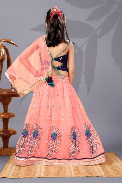 Baby Girls Lehenga Choli Ethnic Wear, Embellished Lehenga Choli