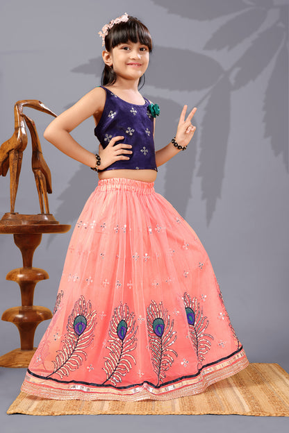 Baby Girls Lehenga Choli Ethnic Wear, Embellished Lehenga Choli