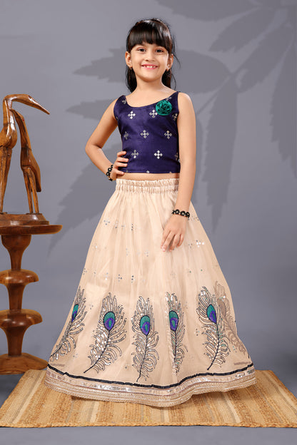Baby Girls Lehenga Choli Ethnic Wear, Embellished Lehenga Choli