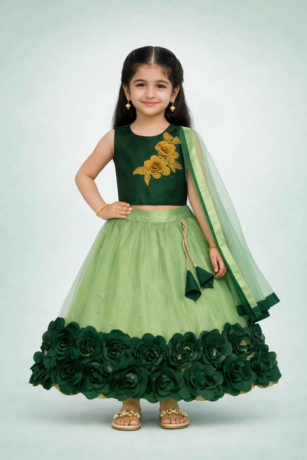 Embriodery Lehenga Choli and Dupatta Set