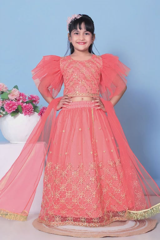 Girls Net Lehenga Choli Embroidered Party Wear Ethnic Dress Kids Wedding